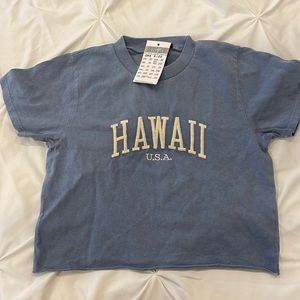 Discontinued Brandy Melville Hawaii cropped t-shirt NWT